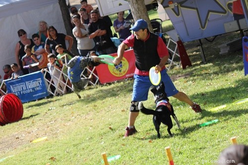2021 Pet Events Guide: Top Celebrations & Upcoming Activities