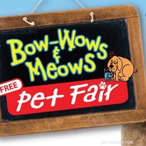 2021 Pet Events Guide: Top Celebrations & Upcoming Activities
