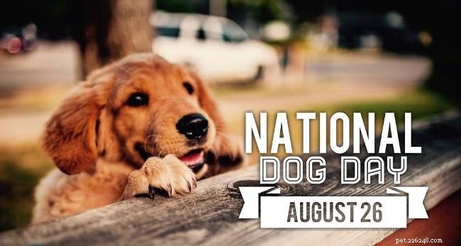 2021 Pet Events Guide: Top Celebrations & Upcoming Activities