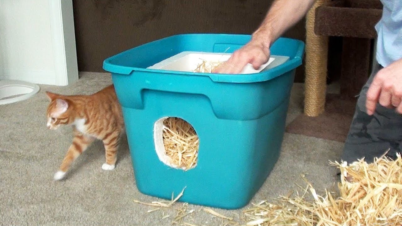 How to Build a Feral Outdoor Cat Shelter to Keep Cats Safe in Winter