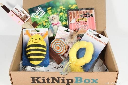 Find the Perfect Cat Subscription Box for Endless Variety & Joy