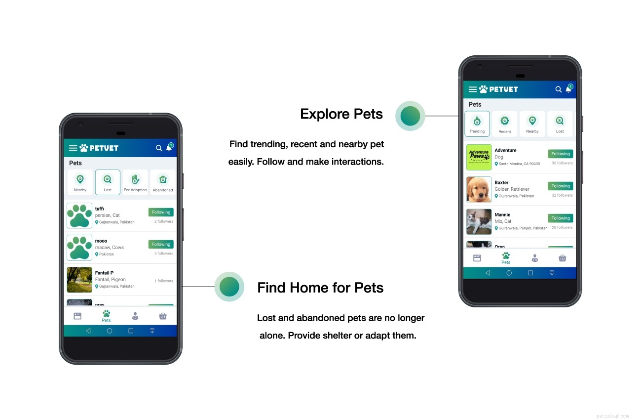 PETVET: Connect, Share, and Celebrate Your Pet with a Global Community