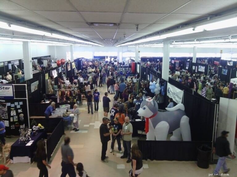 USA Pet Events Calendar: Upcoming Shows, Fairs & Furry Festivities