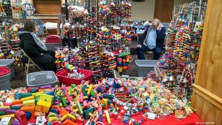 USA Pet Events Calendar: Upcoming Shows, Fairs & Furry Festivities
