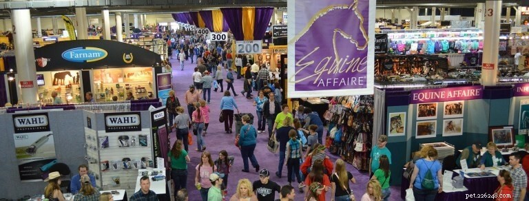 USA Pet Events Calendar: Upcoming Shows, Fairs & Furry Festivities
