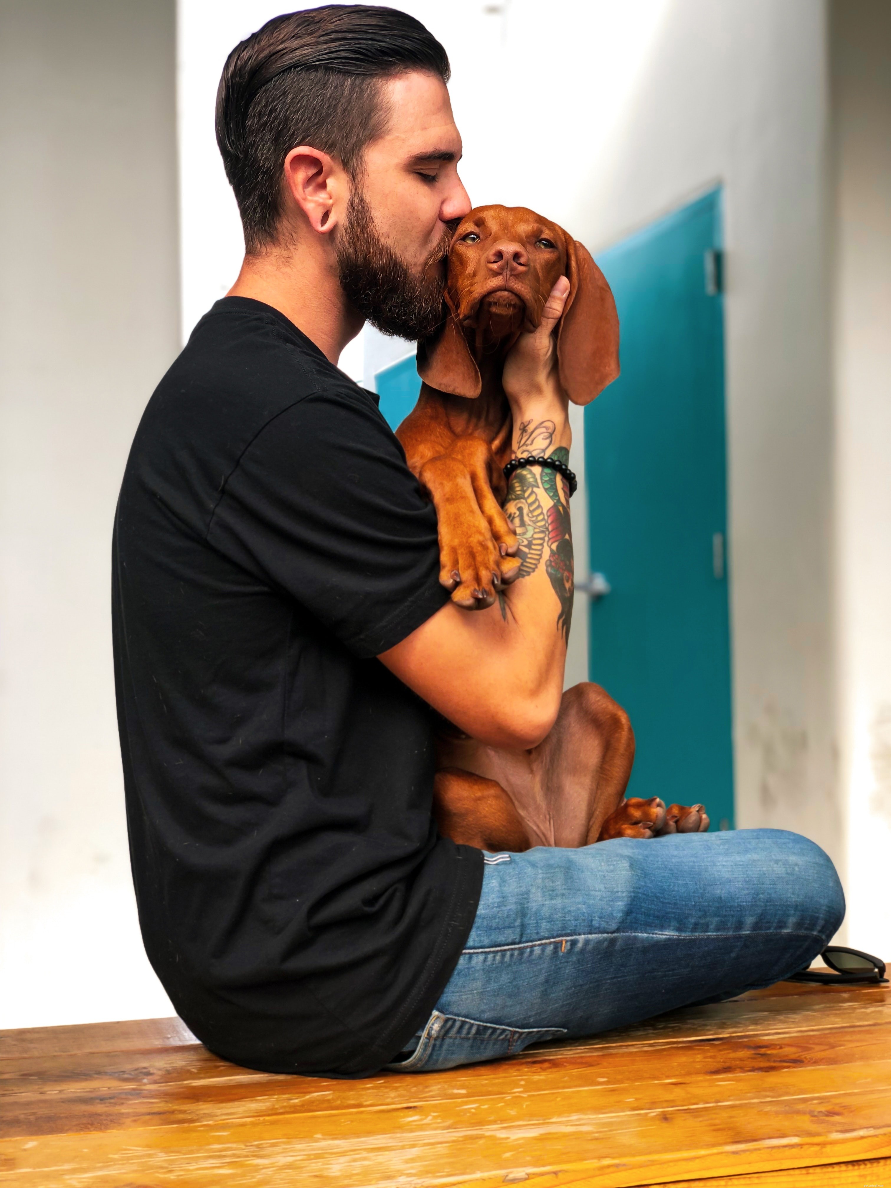 From Pet to Celebrity: How Dogs Can Become Model Stars