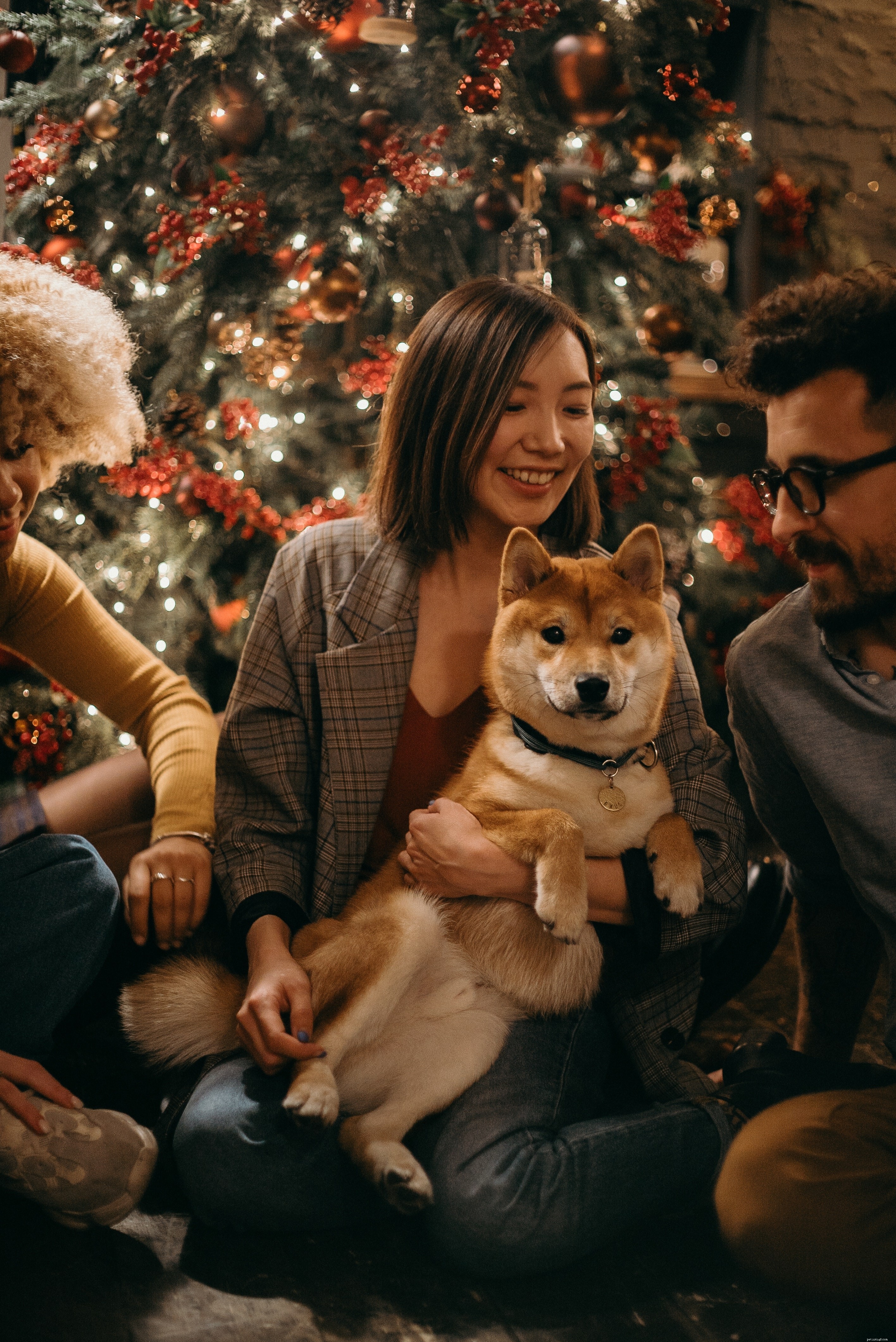 From Pet to Celebrity: How Dogs Can Become Model Stars