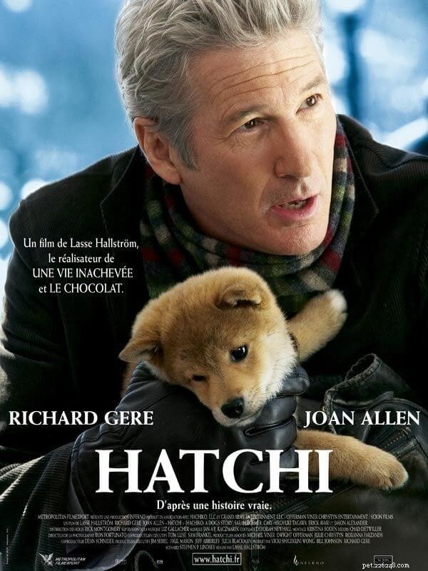 Top 10 Dog Movies That Celebrate the Bond & Adventure