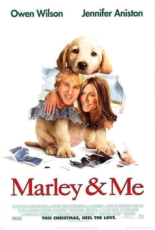 Top 10 Dog Movies That Celebrate the Bond & Adventure