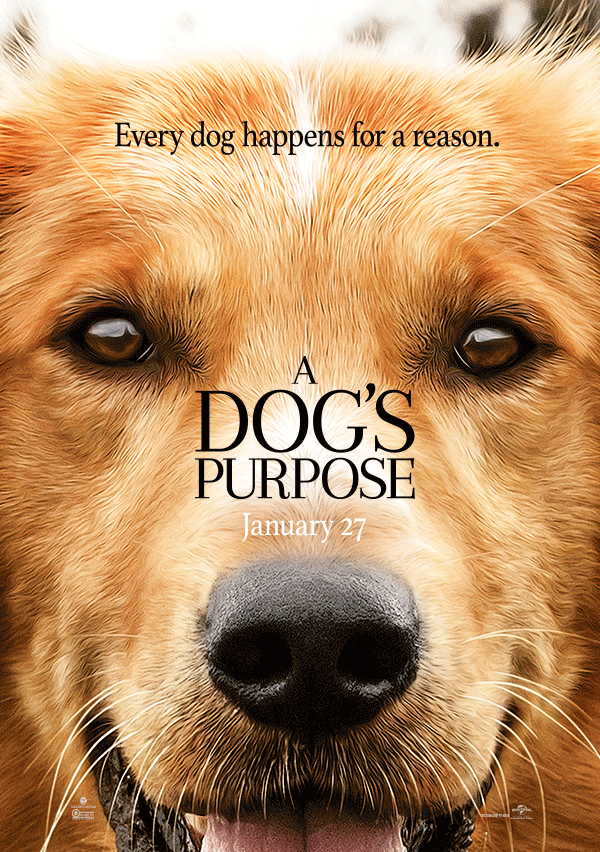 Top 10 Dog Movies That Celebrate the Bond & Adventure