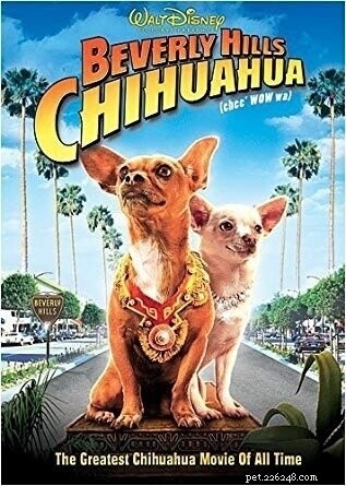 Top 10 Dog Movies That Celebrate the Bond & Adventure