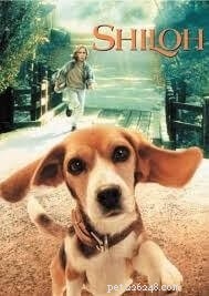 Top 10 Dog Movies That Celebrate the Bond & Adventure