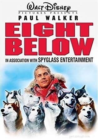 Top 10 Dog Movies That Celebrate the Bond & Adventure