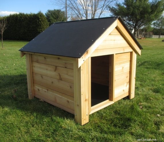 Premium Outdoor Dog Kennels: Secure, Cozy, & Stylish