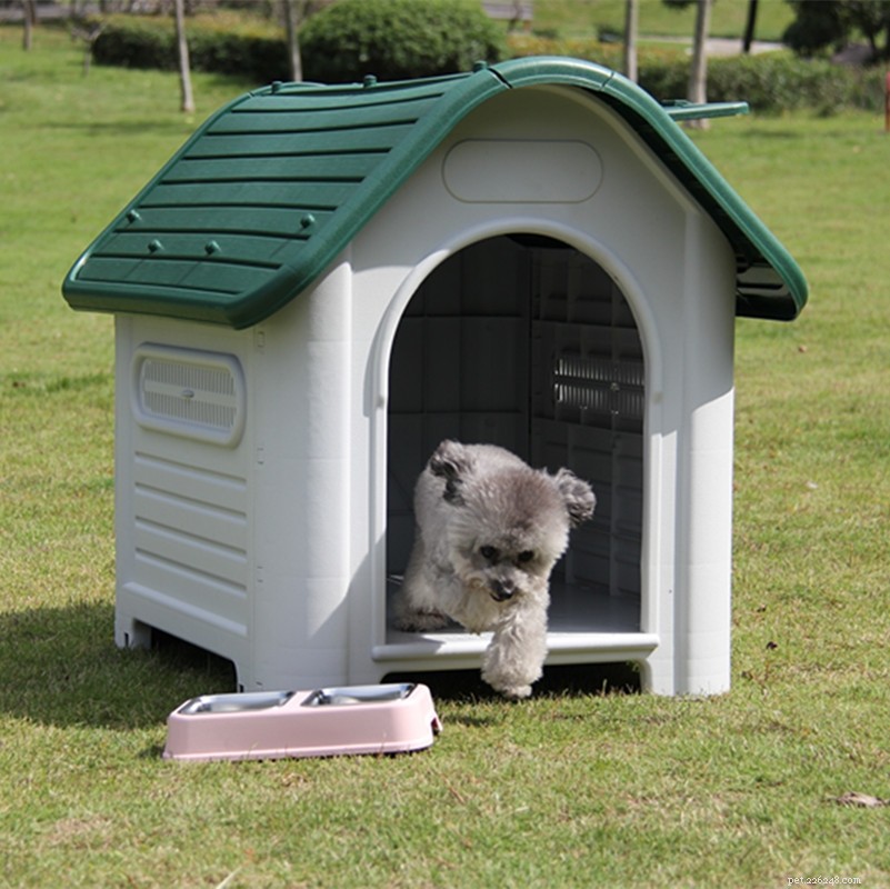 Premium Outdoor Dog Kennels: Secure, Cozy, & Stylish
