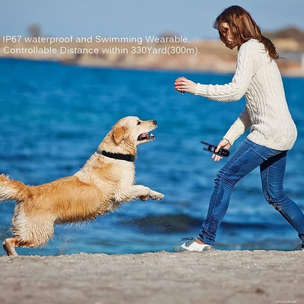 Top Remote Dog Training Collars for Long‑Range Control (500+ Yards)
