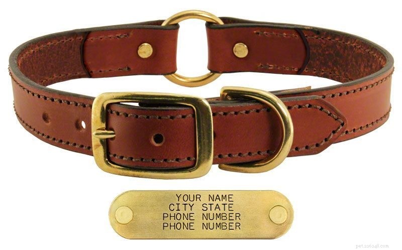 Nylon vs. Leather Dog Collars: Find the Ideal Fit for Your Pup’s Comfort and Your Style
