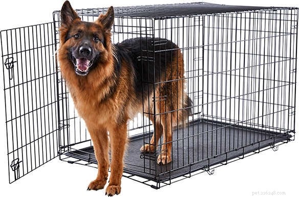 Choosing the Right Crate Size and Type for Your German Shepherd-Husky Mix