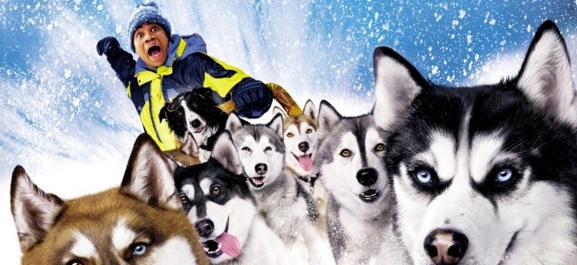 Top 10 Must‑Watch Films Centered Around Dogs