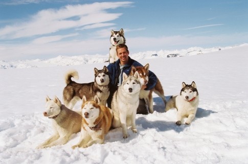 Top 10 Must‑Watch Films Centered Around Dogs