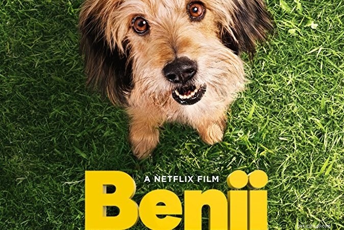 Top 10 Must‑Watch Films Centered Around Dogs