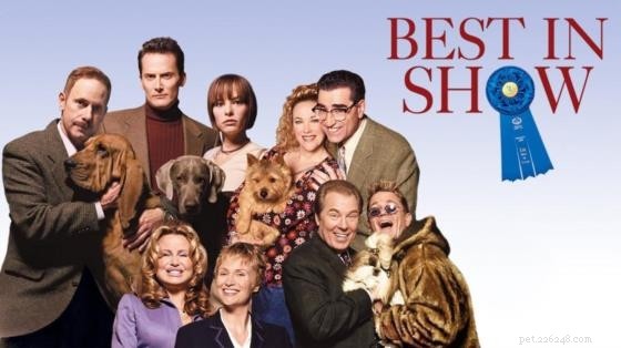 Top 10 Must‑Watch Films Centered Around Dogs