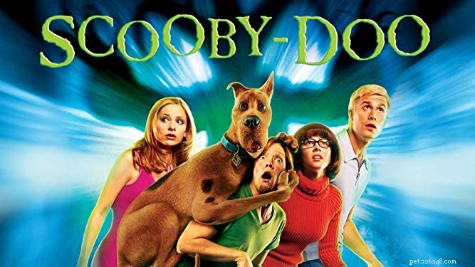 Top 10 Must‑Watch Films Centered Around Dogs