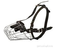 2021 Guide: Choosing the Right Muzzle for Your German Shepherd‑Husky Mix