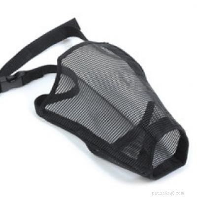 2021 Guide: Choosing the Right Muzzle for Your German Shepherd‑Husky Mix