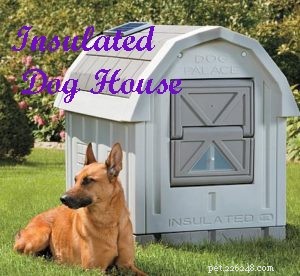 2021 Buying Guide: Must‑Hold Gear for Your German Shepherd‑Husky Mix