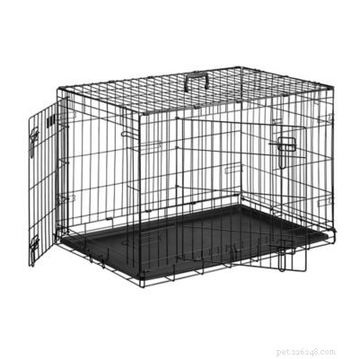 2021 Buying Guide: Must‑Hold Gear for Your German Shepherd‑Husky Mix