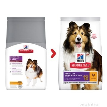 Feeding Your German Shepherd‑Husky Mix: Expert Tips for a Healthy Diet