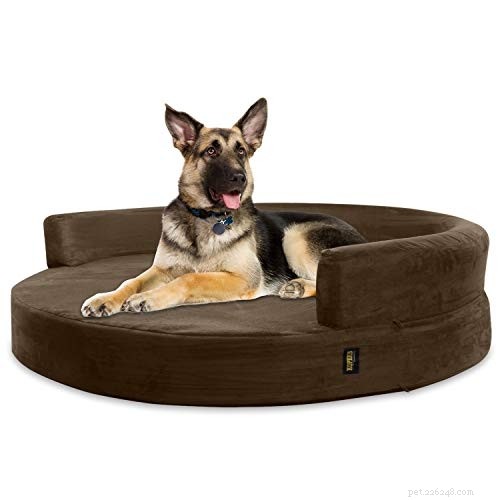 Top Dog Beds for German Shepherd‑Husky Mixes: Comfort & Durability