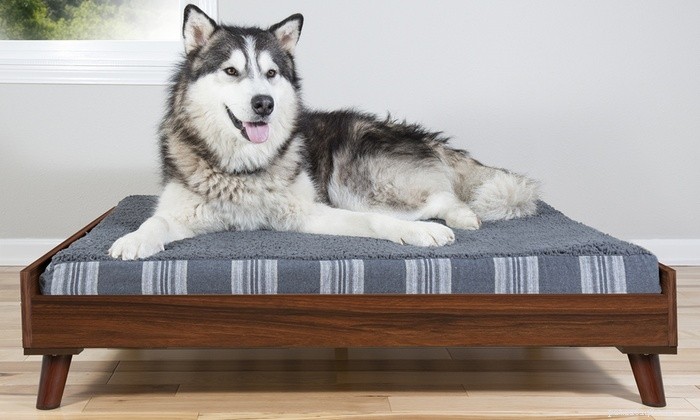 Top Dog Beds for German Shepherd‑Husky Mixes: Comfort & Durability