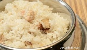 Why and How to Use a Bland Diet for Dogs: A Comprehensive Guide
