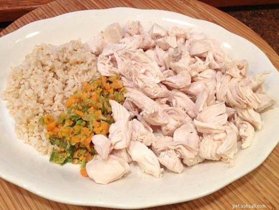 Why and How to Use a Bland Diet for Dogs: A Comprehensive Guide