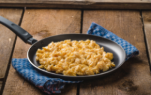 Why and How to Use a Bland Diet for Dogs: A Comprehensive Guide