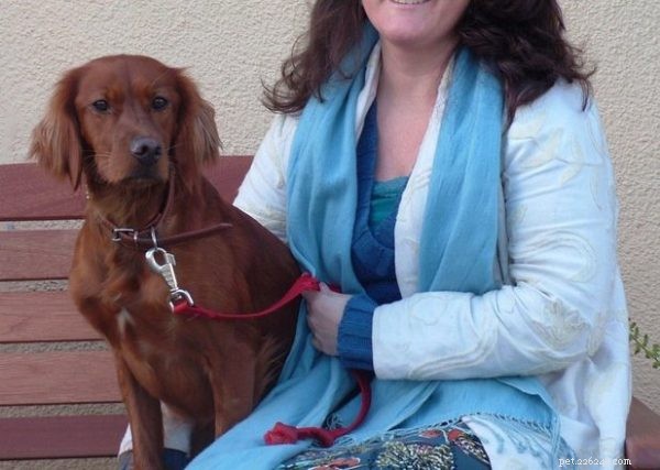 Best Family Dog Breeds: Find the Perfect Pet for Your Home
