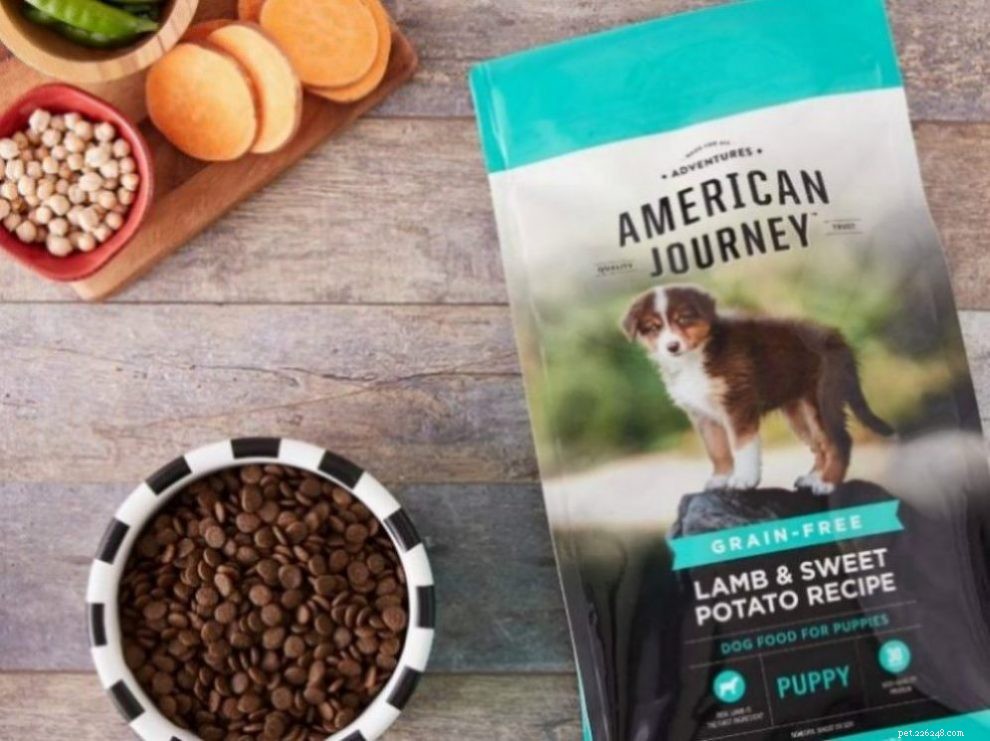 Top 5 Dog Foods of 2022: Expert-Recommended Choices