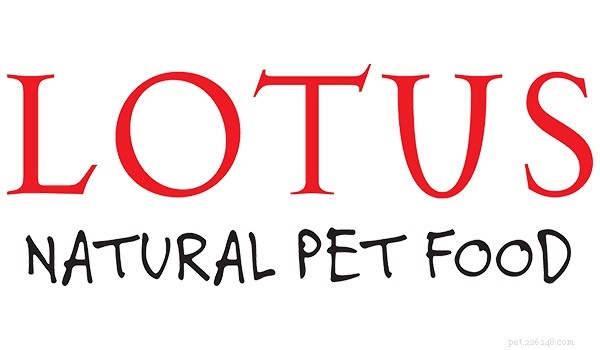 Top 5 Dog Foods of 2022: Expert-Recommended Choices