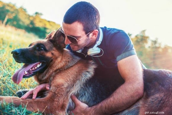 10 Proven Ways German Shepherd‑Husky Mixes Reduce Your Stress