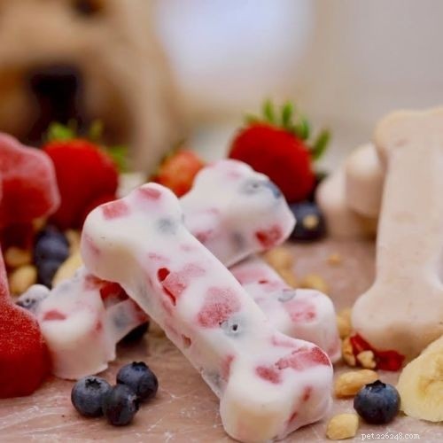 5 Expert-Recommended Homemade Dog Food Recipes for Healthy, Balanced Nutrition