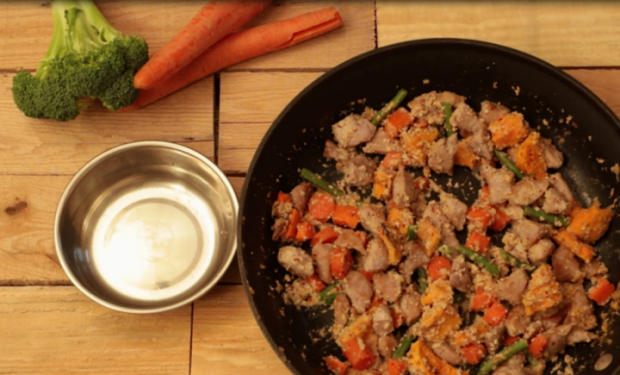 5 Expert-Recommended Homemade Dog Food Recipes for Healthy, Balanced Nutrition