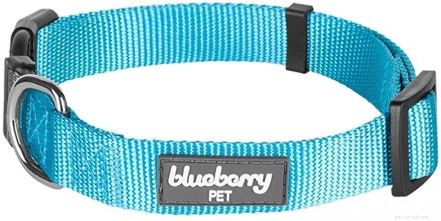 Top 5 Dog Collars for German Shepherd-Husky Mixes: Comfort, Durability, and Style