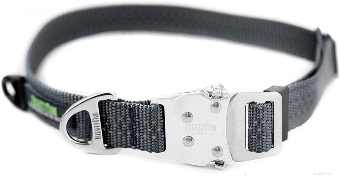 Top 5 Dog Collars for German Shepherd-Husky Mixes: Comfort, Durability, and Style