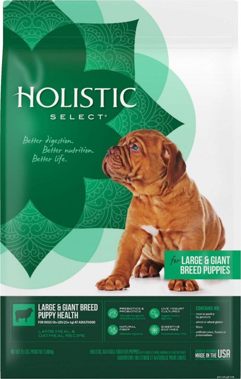 Best Dog Food Choices for Large Breeds: Expert‑Recommended Options