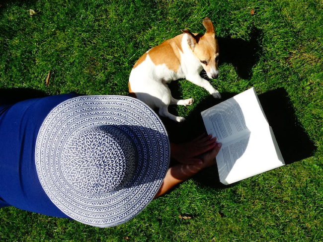 Pet-Proof Your Garden: Easy Tips to Keep Plants Safe