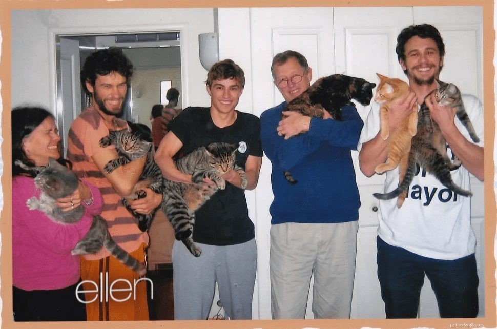 Top Celebrities Who Are Proud Cat Owners