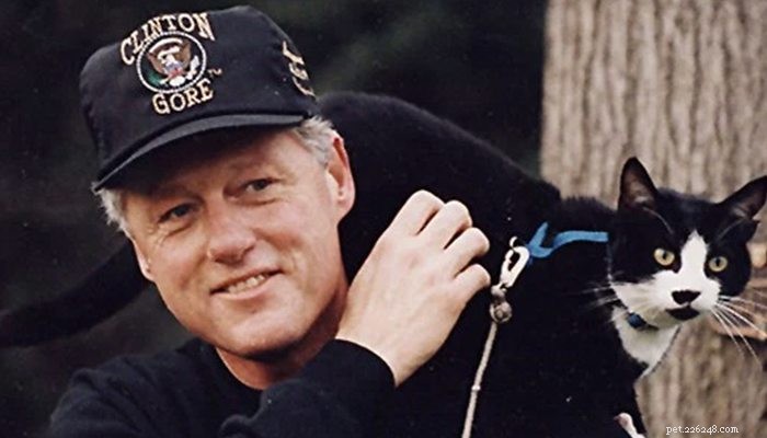16 Secret White House Cats That Surprised Presidents