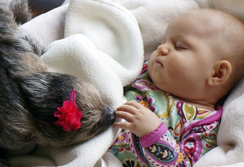 Heartwarming Bond: 5-Month-Old Baby and Baby Sloth Become Best Friends